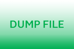 eMMC Dump File