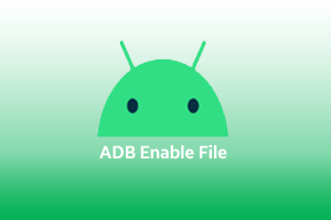 ADB Enable File